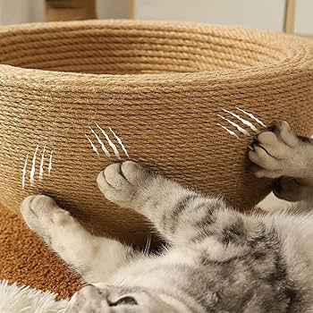 【萌可愛い】スイカ型爪とぎベッド 耐久性抜群 猫用ソファ・キャットハウス一体型 萌可愛い】スイカ型爪とぎベッド 耐久性抜群 猫用ソファ